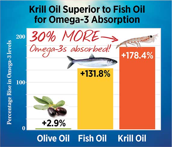 krill vs fish