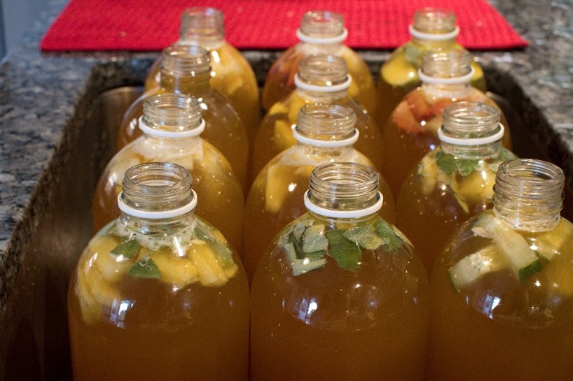 kombucha